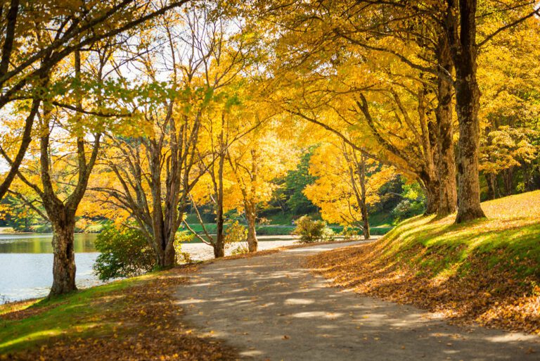 Winding path along Bass Lake in the Autumn in Blowing Rock, North Carolina.