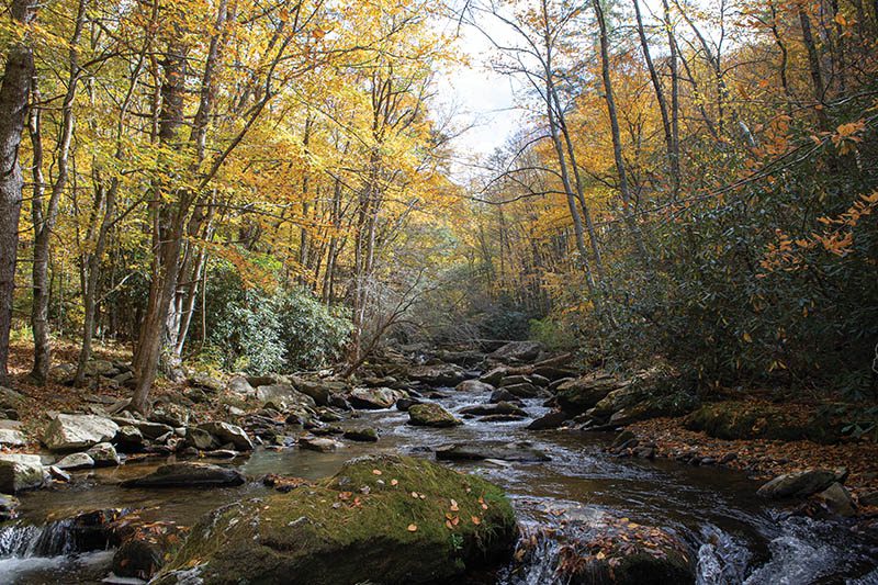 Photo courtesy of Leila Jackson-Blue Ridge Conservancy