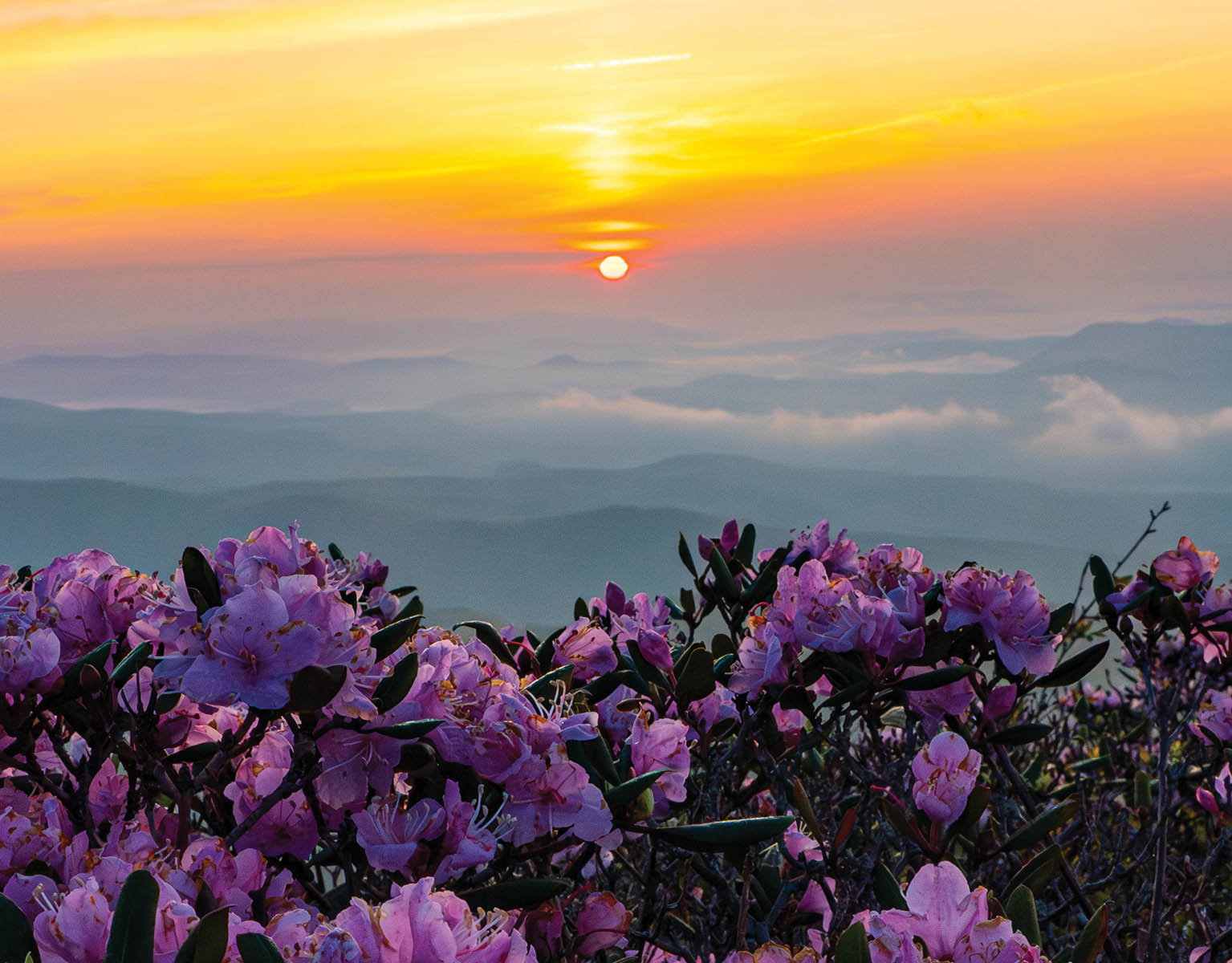 Photo courtesy of Photographer Leslie Restivo