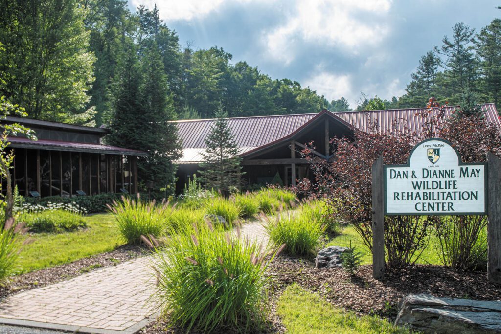 Protecting High Country’s Wildlife