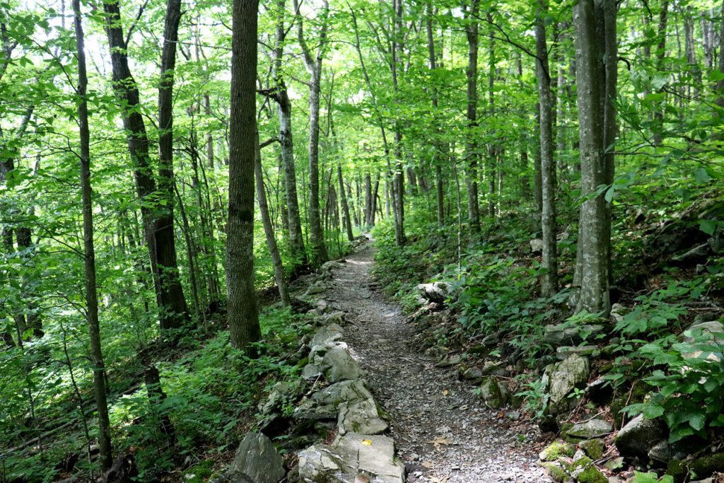 Trail to the summit of Elk Knob.